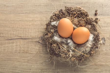 Beneficios de los huevos de gallinas camperas