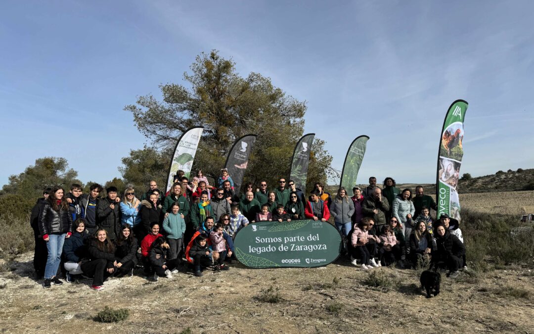 Agroveco con el Bosque de los Zaragozanos: Un «Refugio Verde» en la ciudad🌳