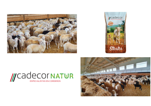 Agrovet
