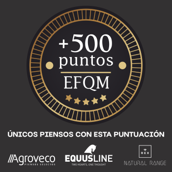 LOGO PERFIL