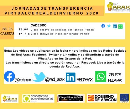 PROGRAMA JORNADAS VIRTUALES RED ARAX